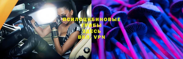 стафф Богданович