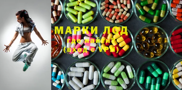 стафф Богданович