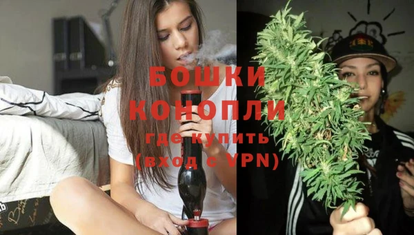 бошки Богородицк
