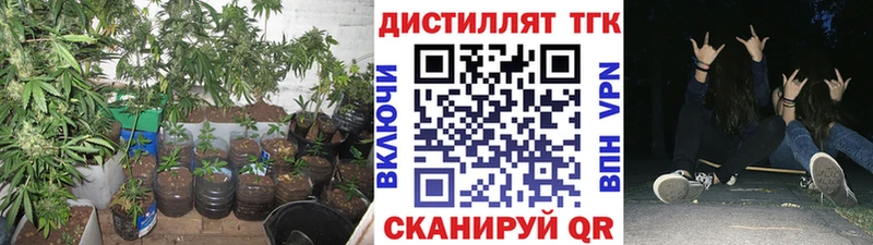 площадка наркотические препараты mega маркетплейс ТГК вейп Павловск наркотики